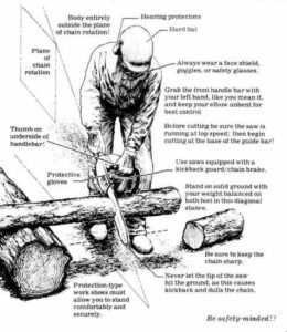 Chainsaw Safety Image